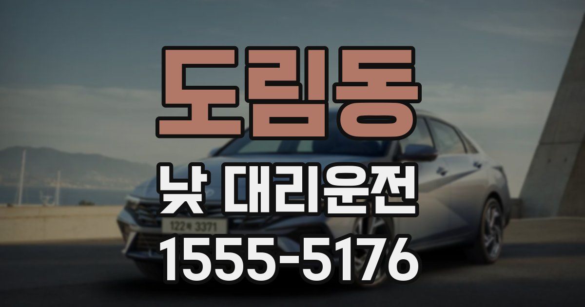 도림동 낮 대리운전