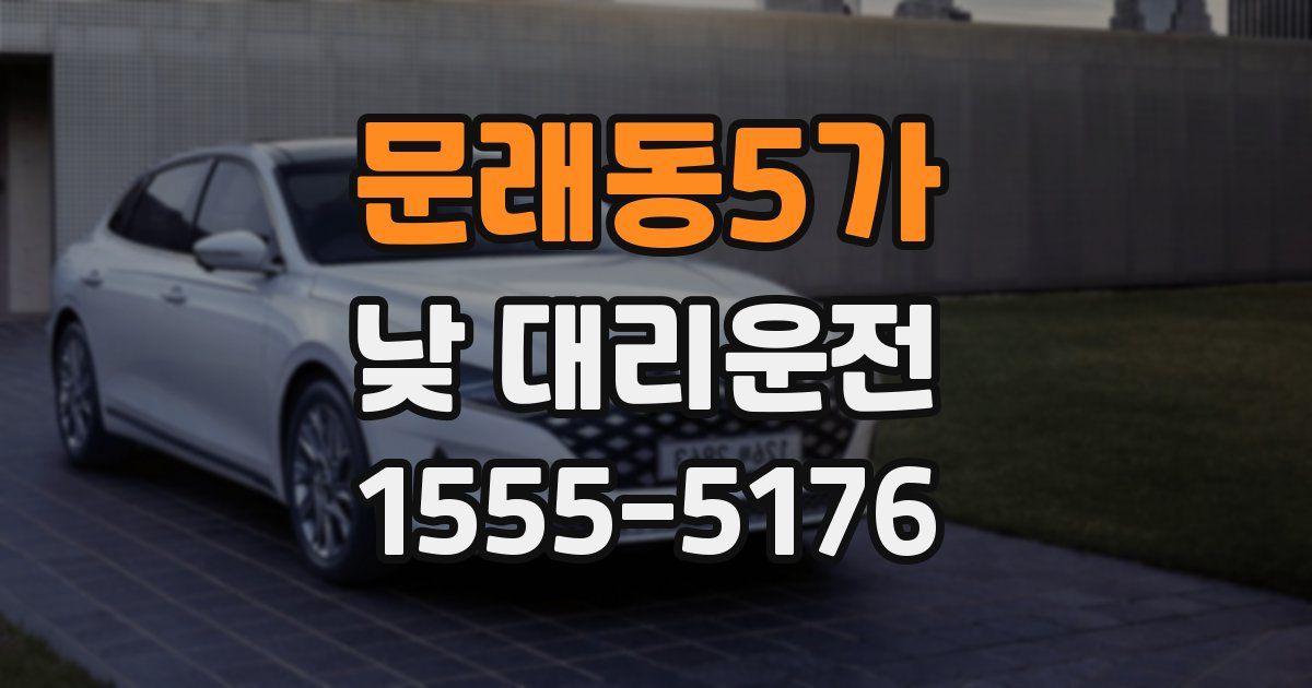 문래동5가 낮 대리운전
