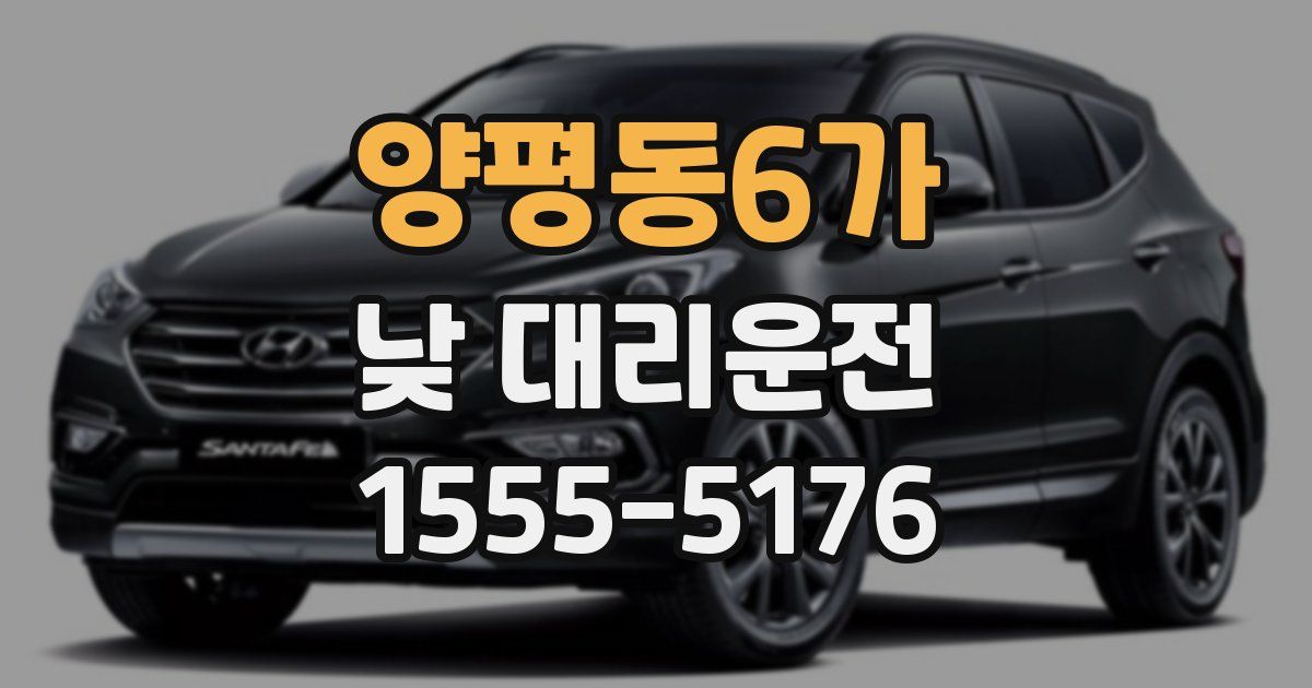 양평동6가 낮 대리운전