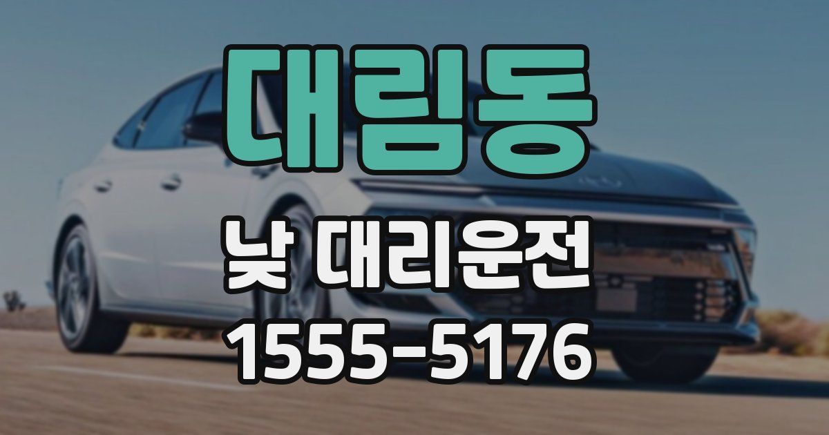 대림동 낮 대리운전