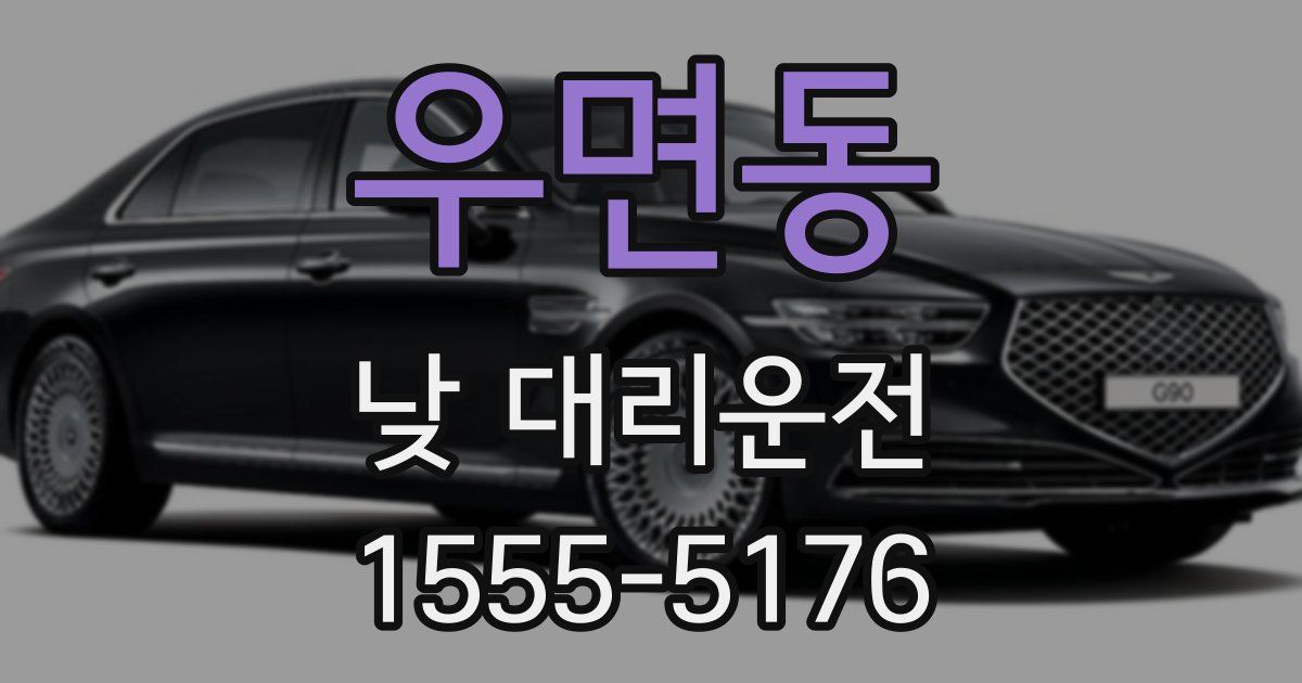 우면동 낮 대리운전