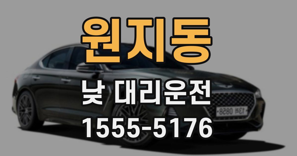 원지동 낮 대리운전