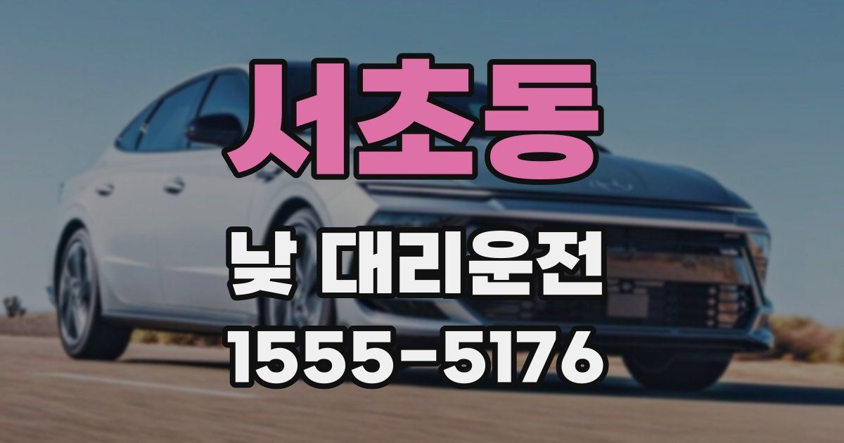 서초동 낮 대리운전