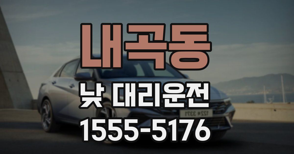 내곡동 낮 대리운전