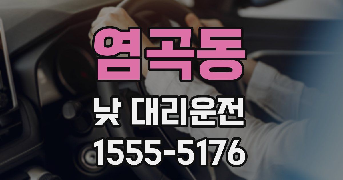 염곡동 낮 대리운전