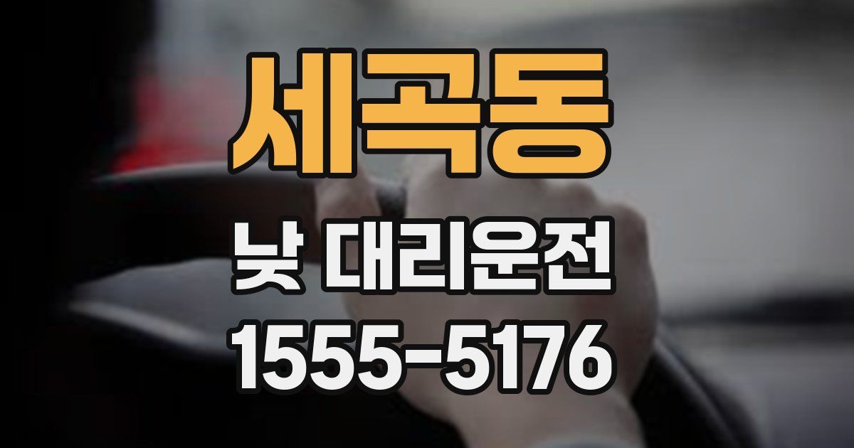 세곡동 낮 대리운전