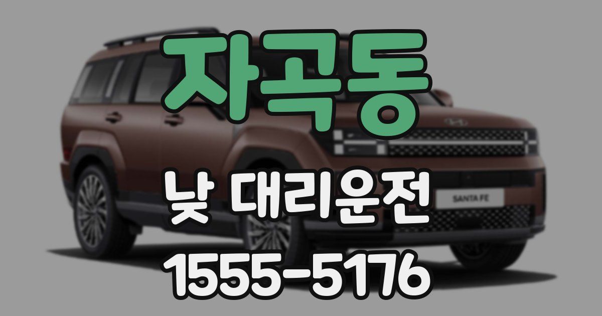 자곡동 낮 대리운전
