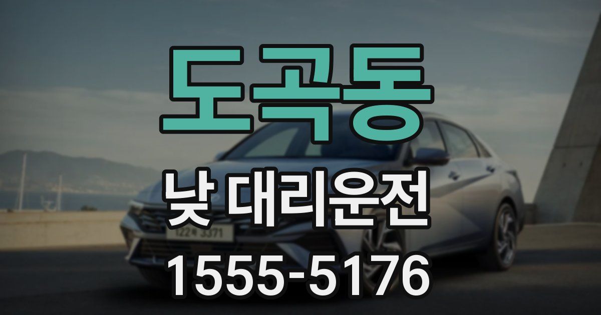 도곡동 낮 대리운전