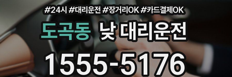 도곡동 낮 대리운전