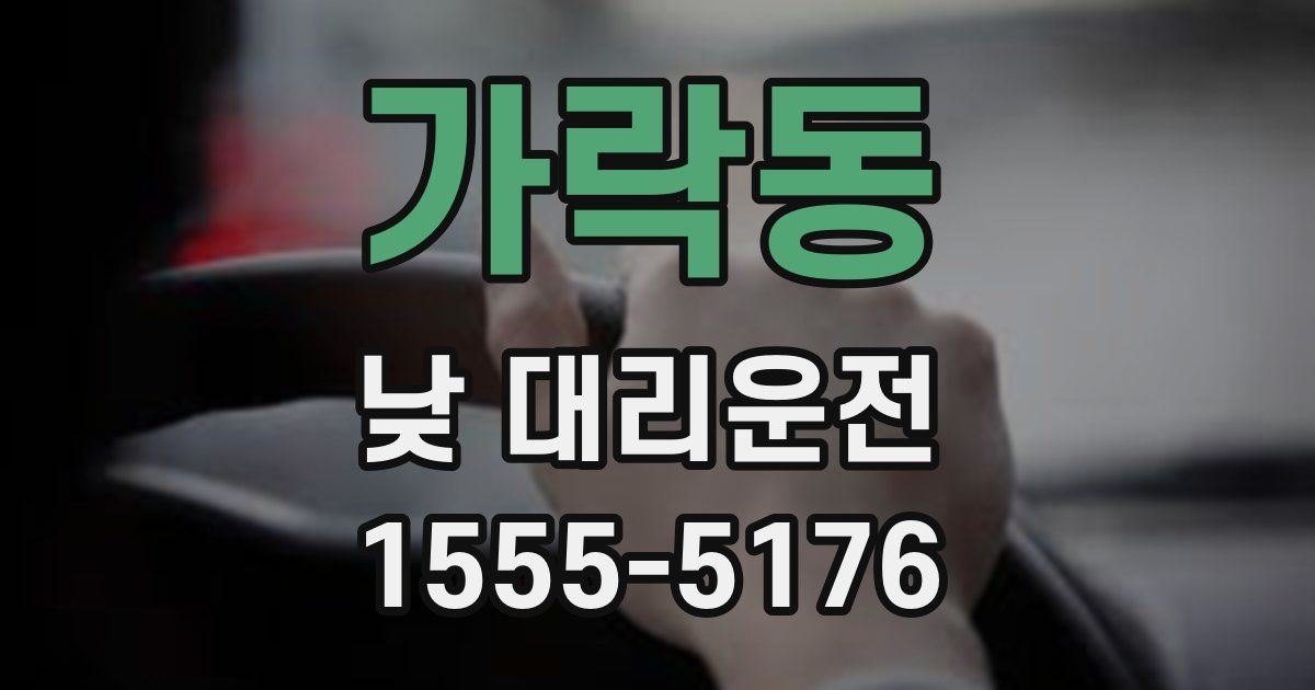 가락동 낮 대리운전