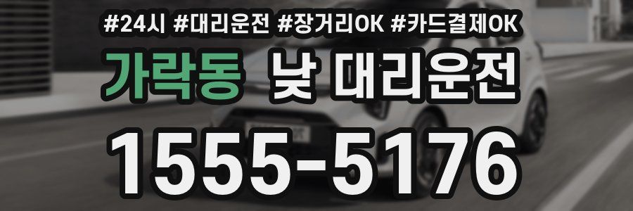 가락동 낮 대리운전