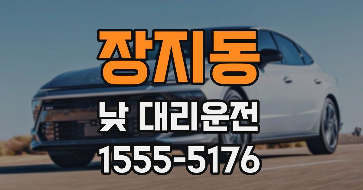 장지동 낮 대리운전