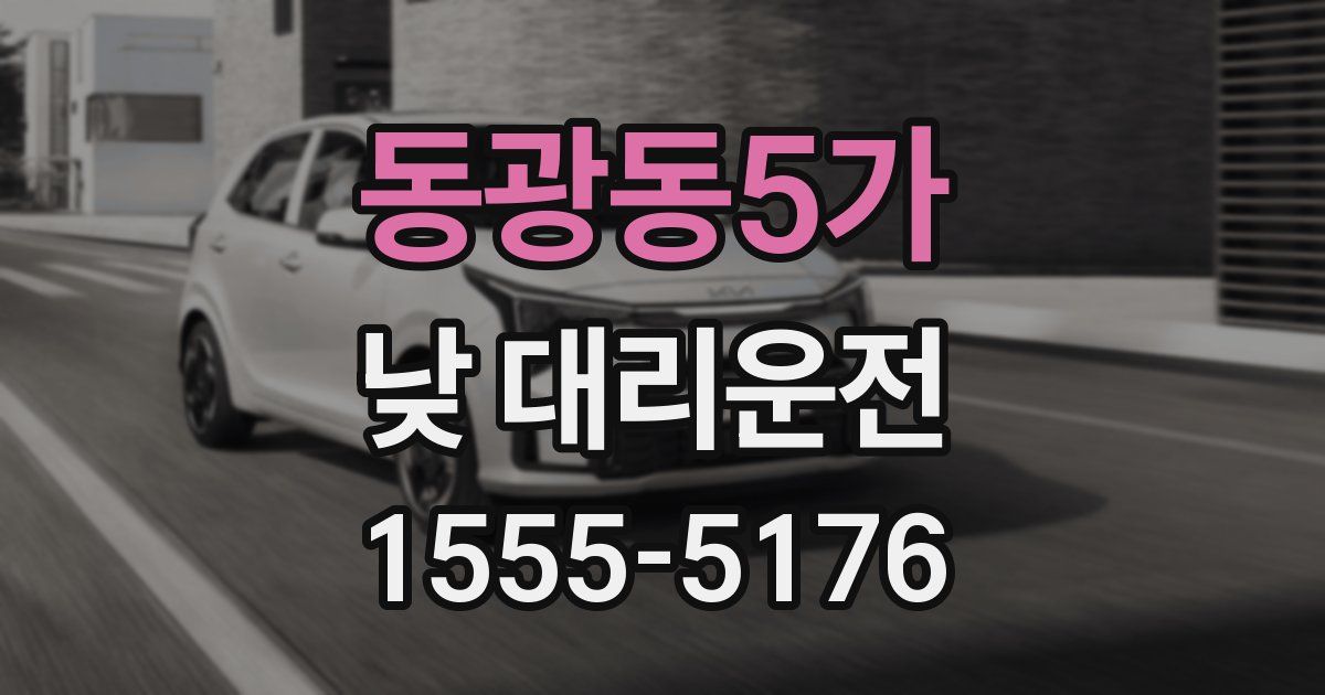 동광동5가 낮 대리운전