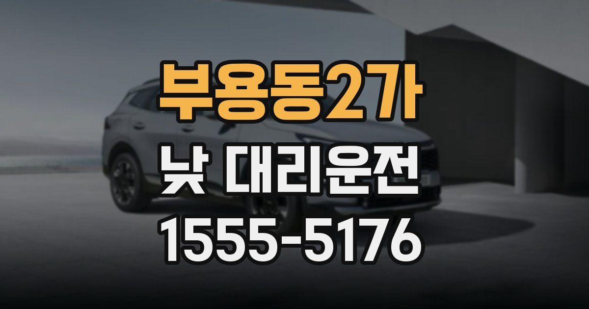 부용동2가 낮 대리운전