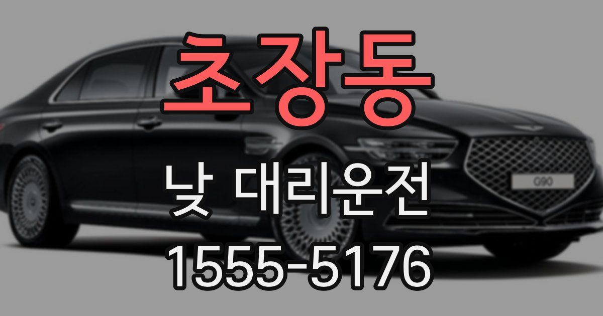 초장동 낮 대리운전