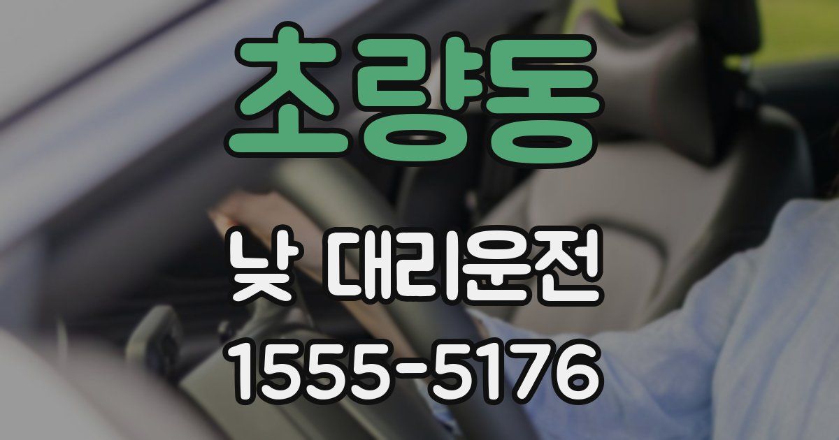 초량동 낮 대리운전