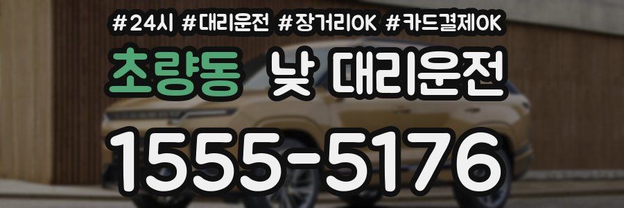 초량동 낮 대리운전