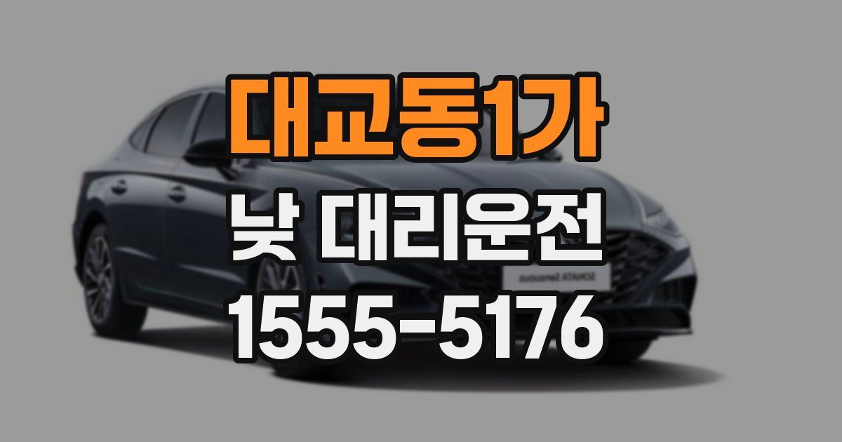 대교동1가 낮 대리운전