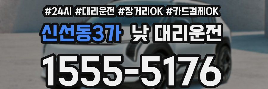 신선동3가 낮 대리운전