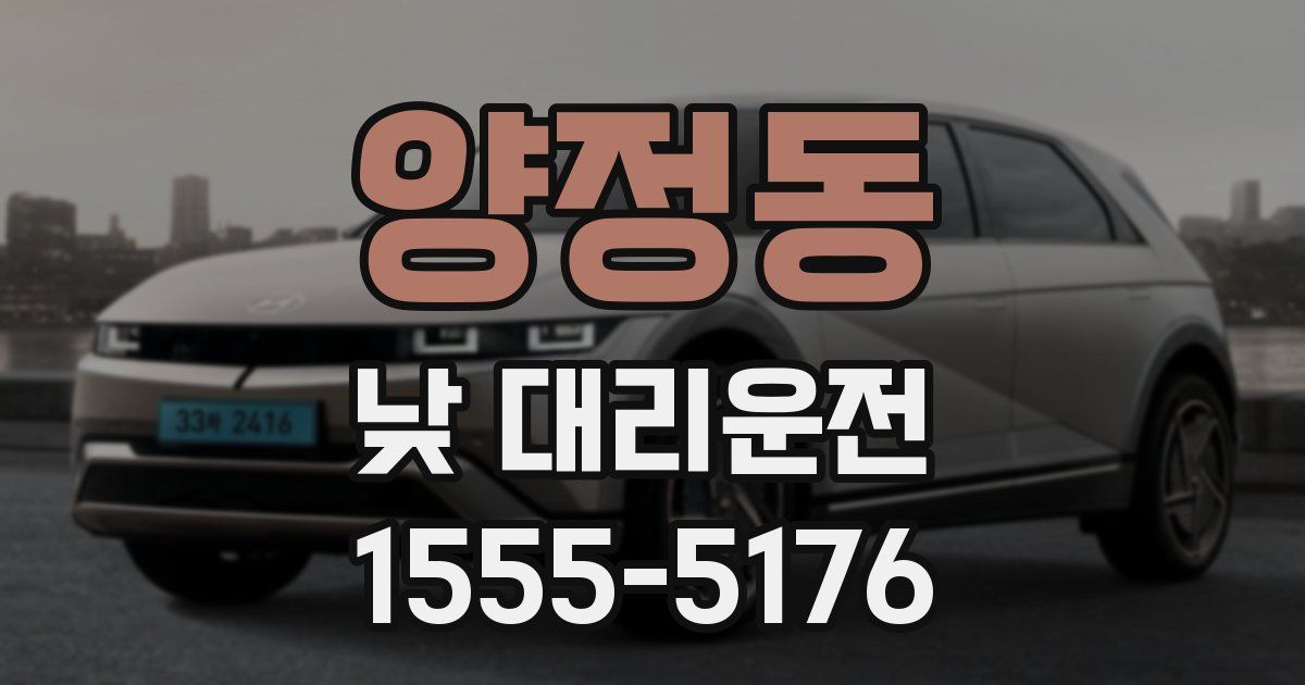 양정동 낮 대리운전