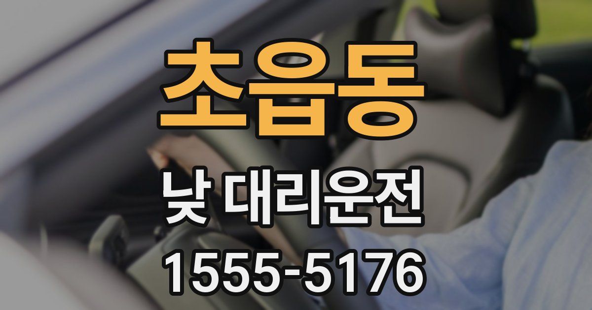 초읍동 낮 대리운전