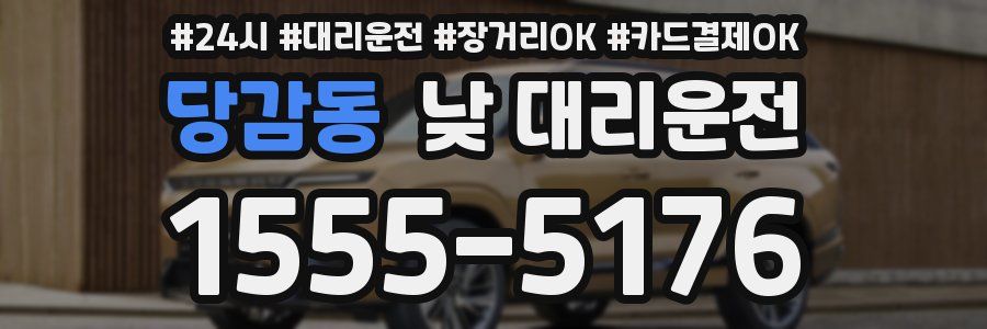 당감동 낮 대리운전