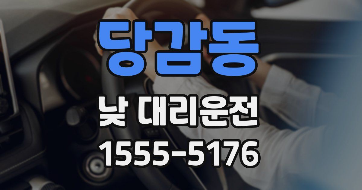 당감동 낮 대리운전