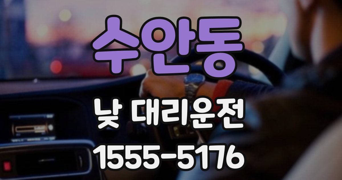 수안동 낮 대리운전
