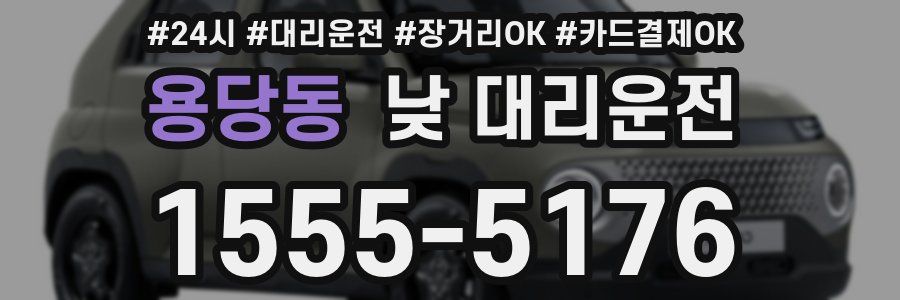 용당동 낮 대리운전