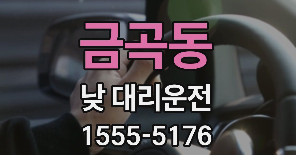금곡동 낮 대리운전