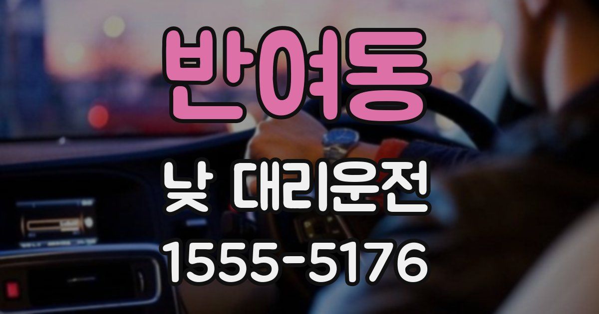 반여동 낮 대리운전