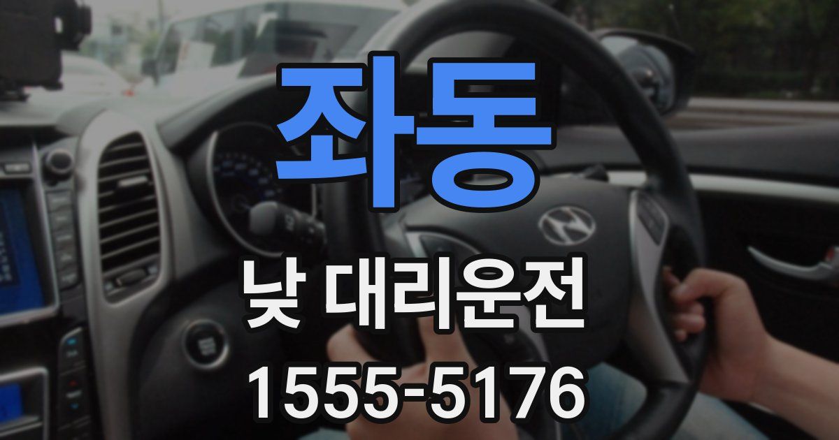좌동 낮 대리운전