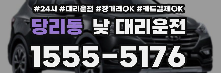당리동 낮 대리운전