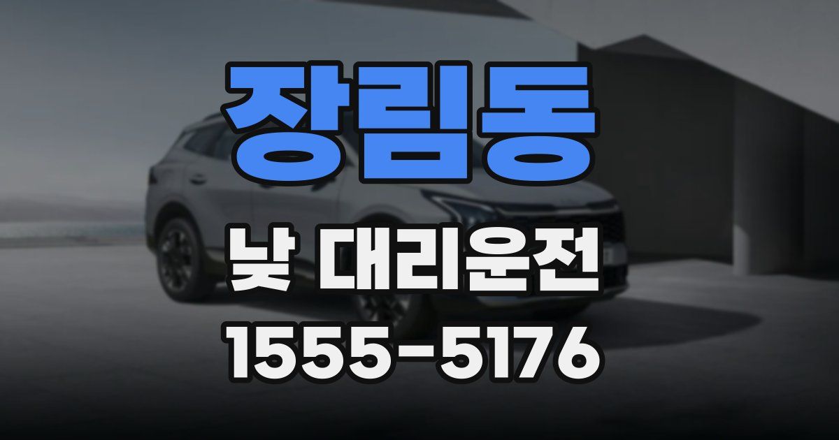 장림동 낮 대리운전