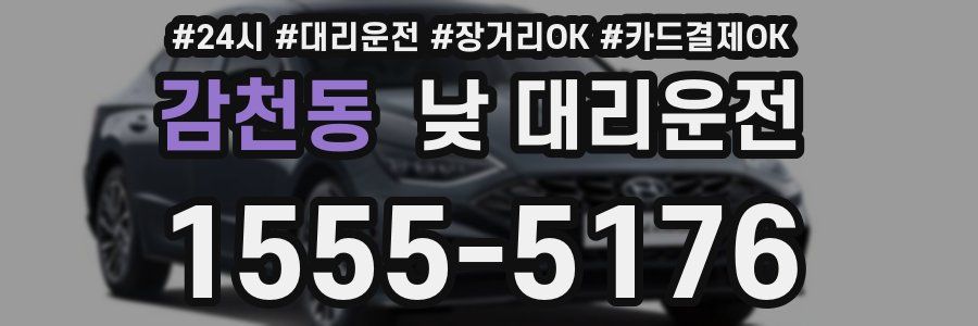 감천동 낮 대리운전