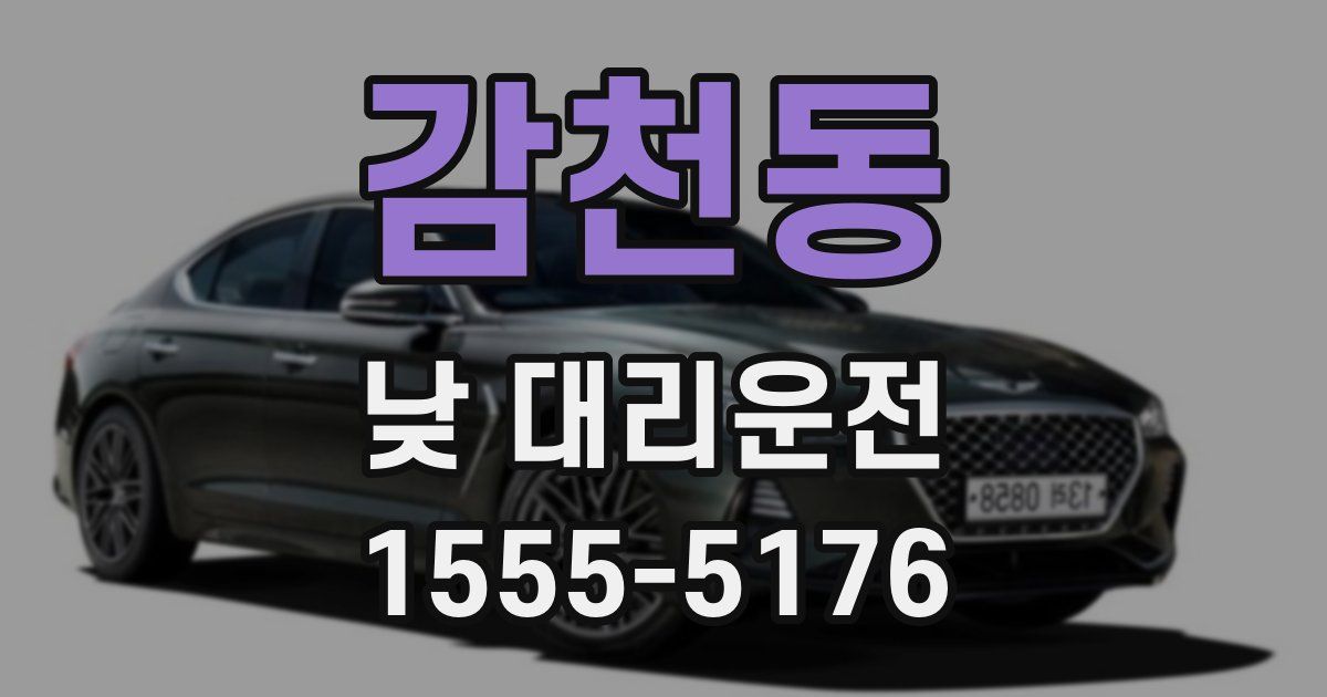 감천동 낮 대리운전