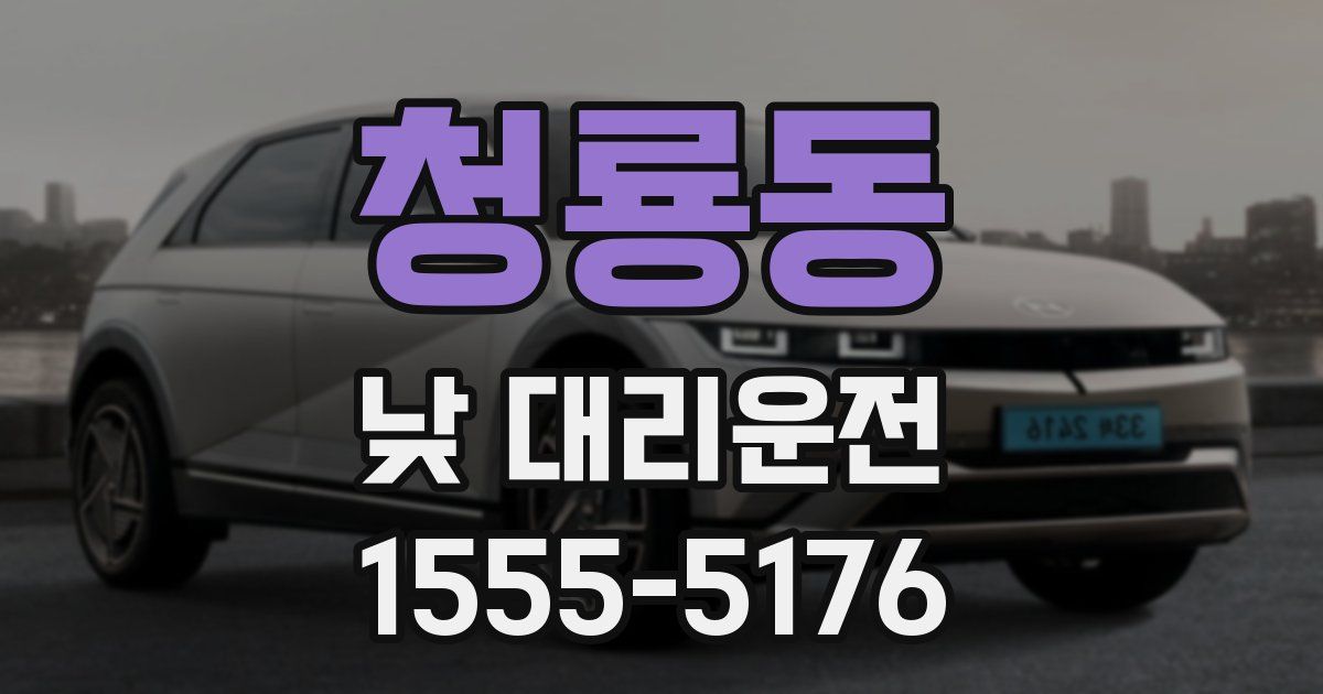 청룡동 낮 대리운전