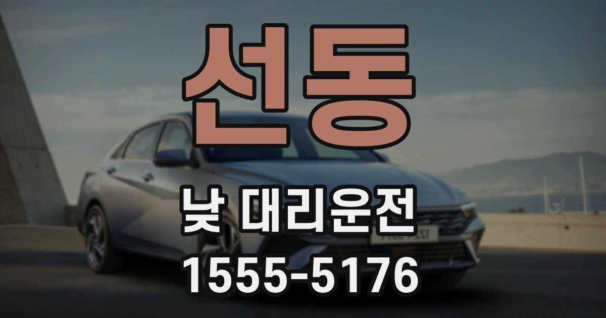 선동 낮 대리운전