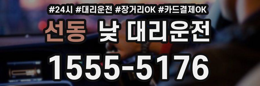 선동 낮 대리운전