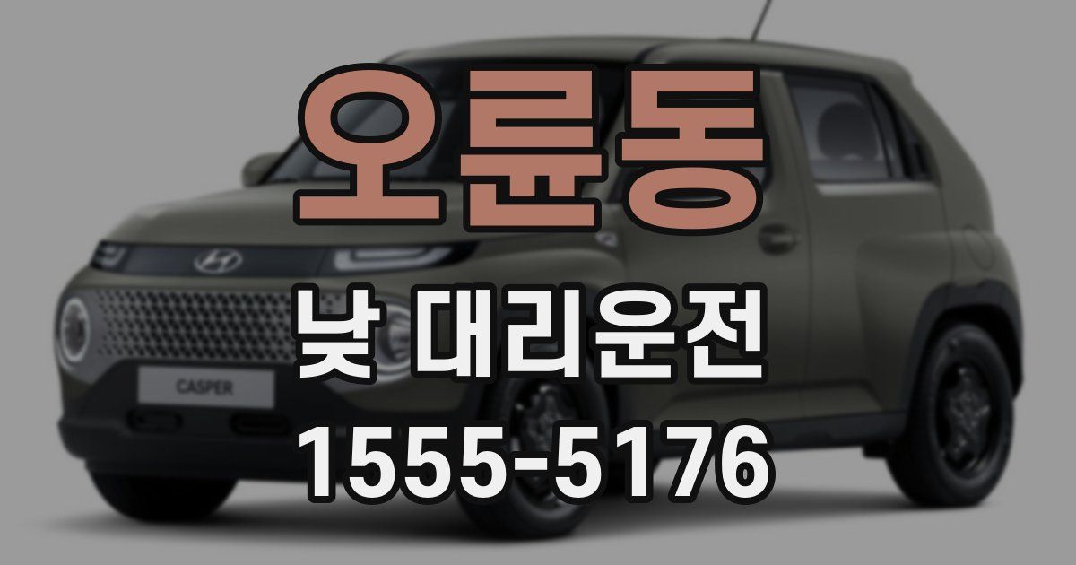 오륜동 낮 대리운전