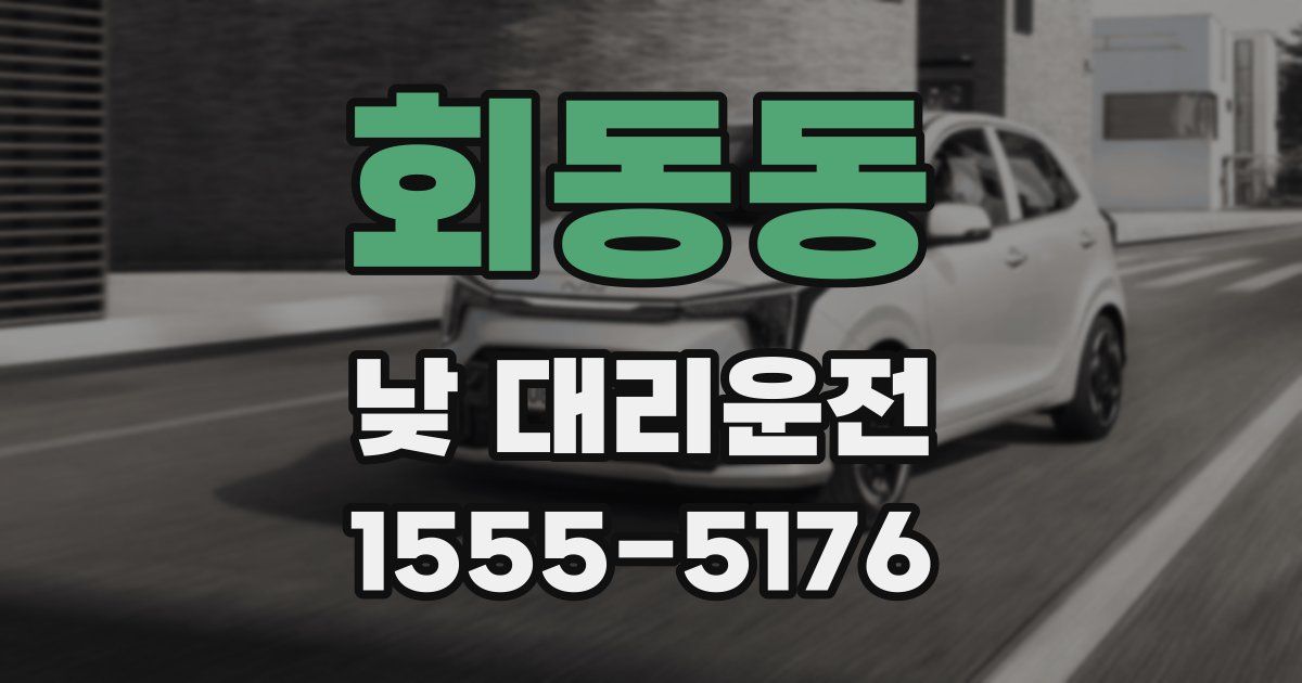 회동동 낮 대리운전
