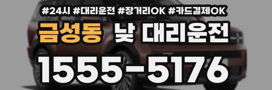 금성동 낮 대리운전