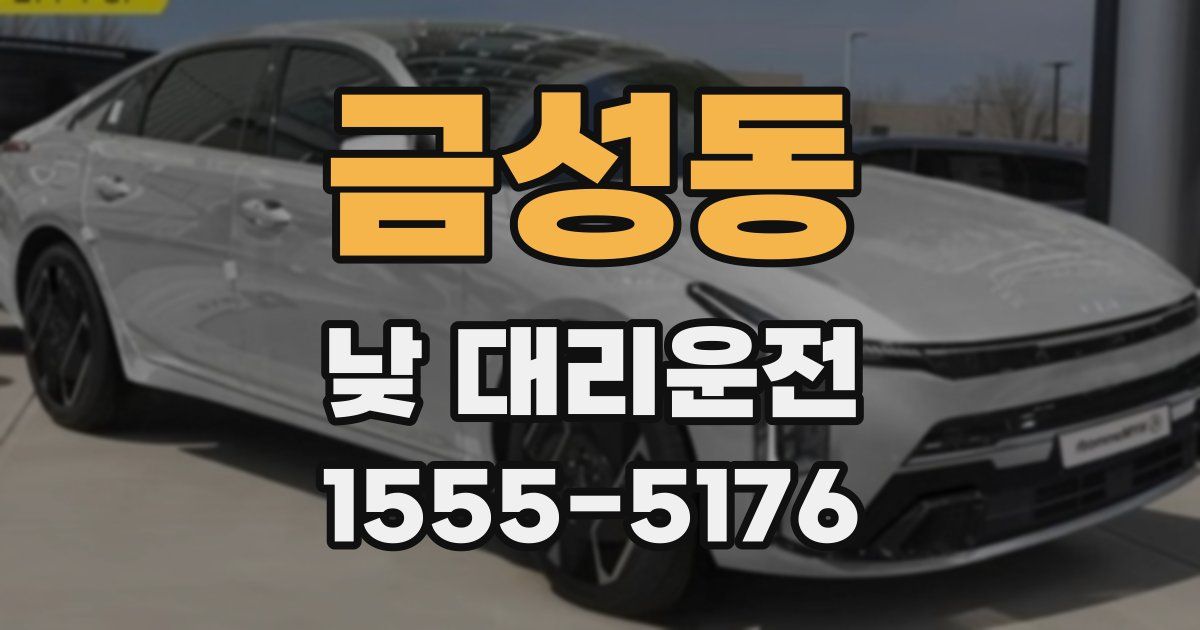 금성동 낮 대리운전