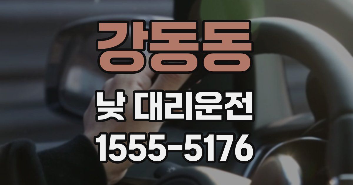 강동동 낮 대리운전
