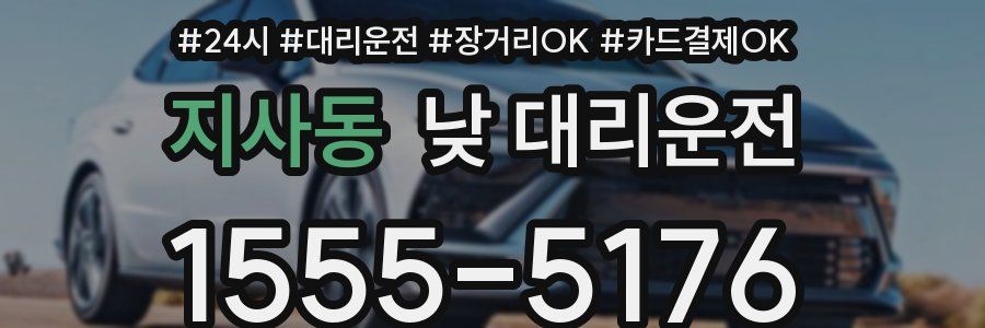 지사동 낮 대리운전