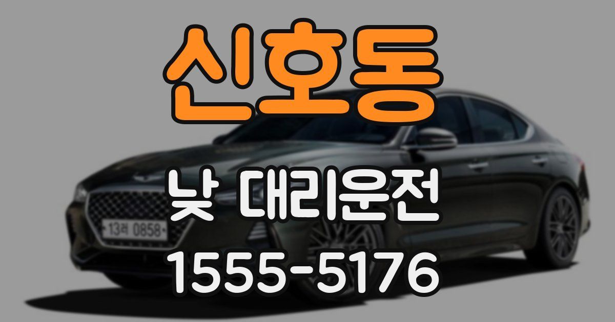 신호동 낮 대리운전