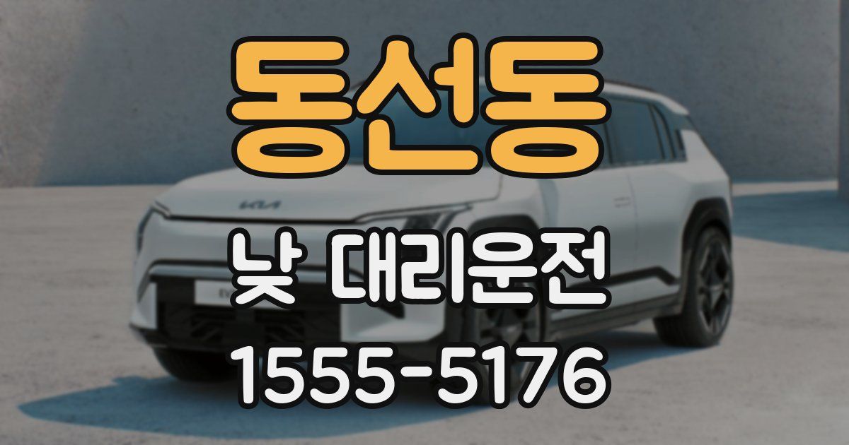 동선동 낮 대리운전