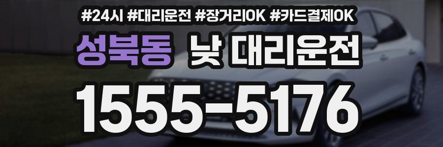 성북동 낮 대리운전