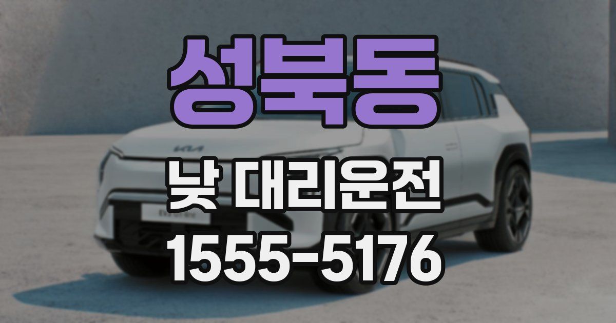성북동 낮 대리운전