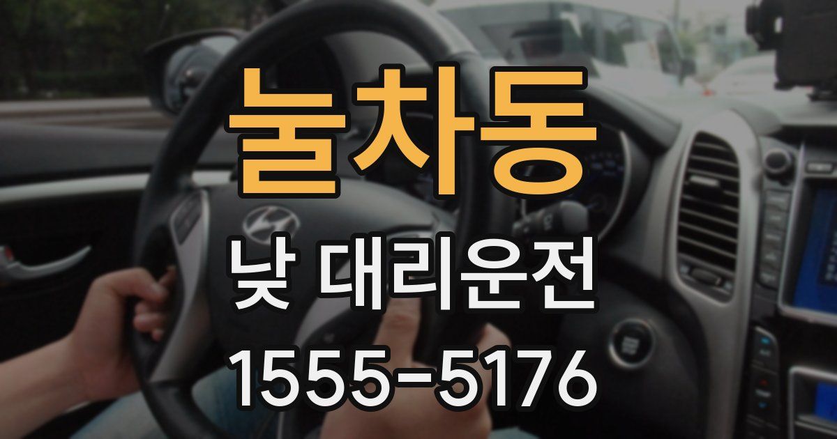 눌차동 낮 대리운전